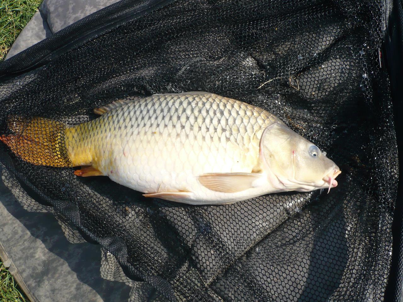 MV 2 - 1.OCT.2014 - p1020869.JPG